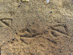 ��ɰ����γɵ����c�C(j��)��ɰ�C(j��)��ʲô�^(q��)�e��